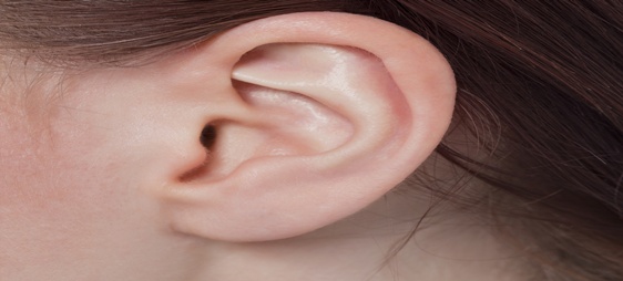 אוזניים בולטות